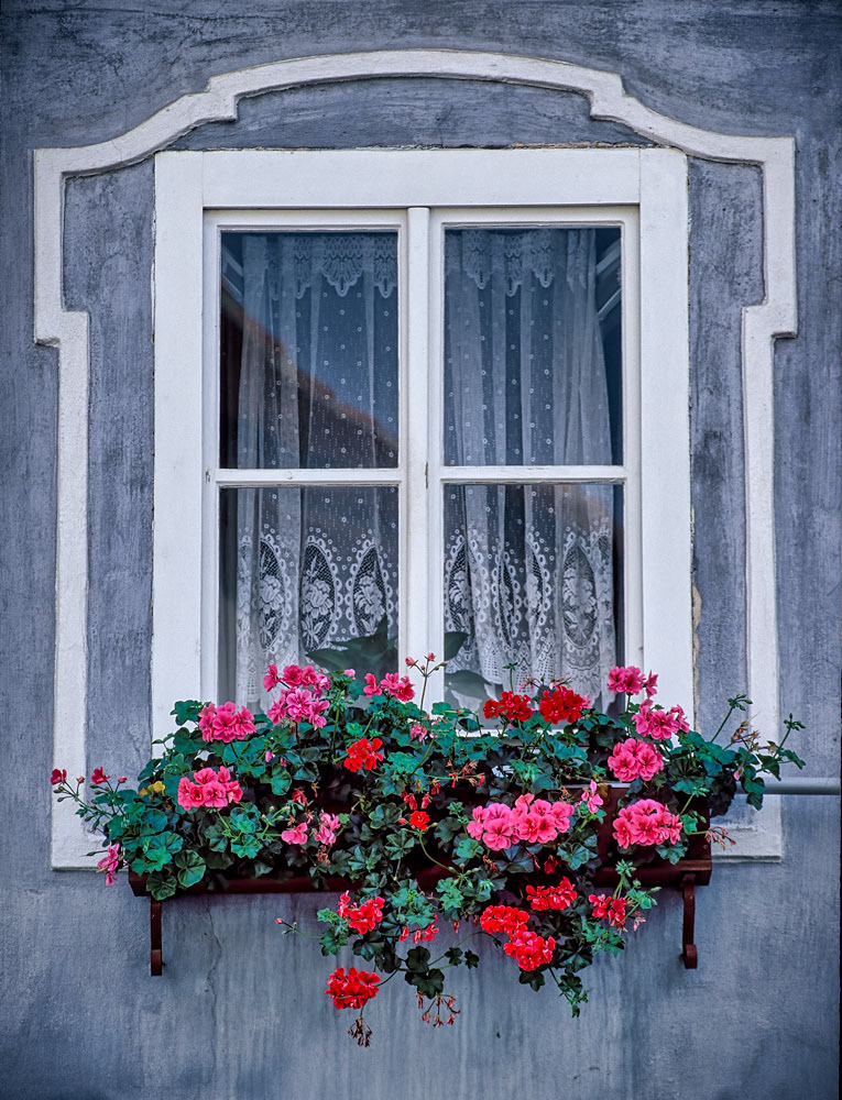 #4504 Czech Republic