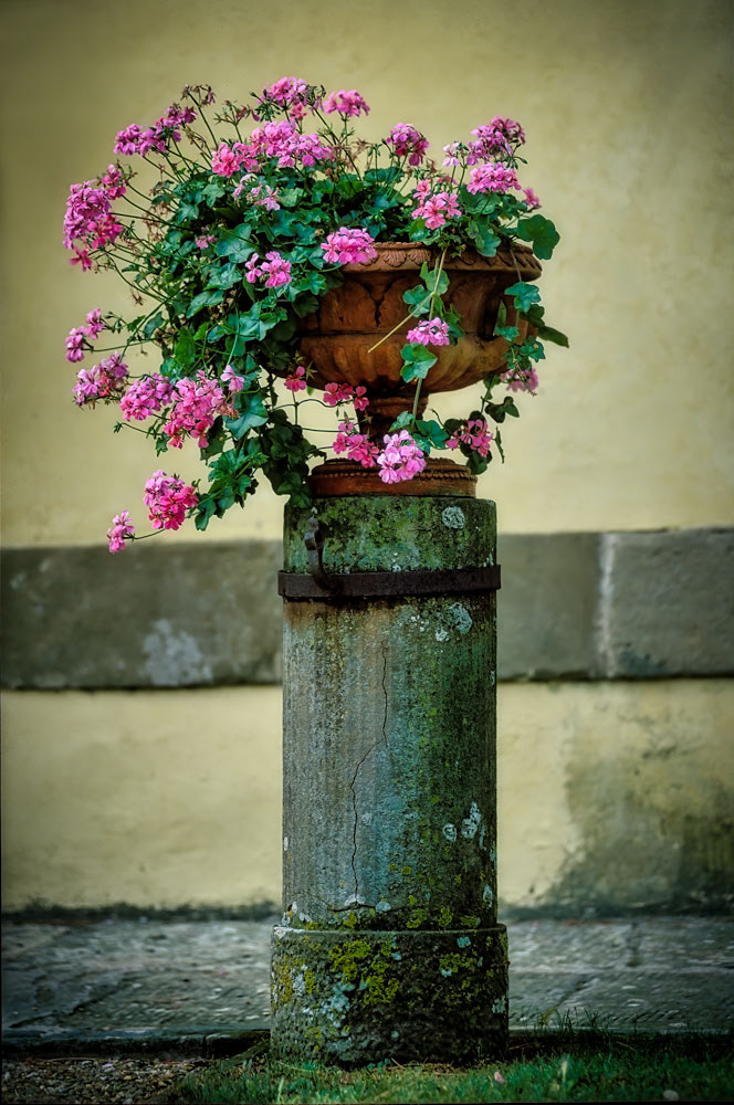 #2115 Flowers on Pedestal, Florence, Italy