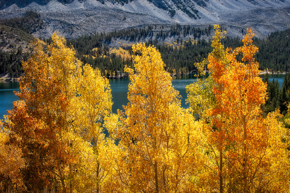 #1152 Autumn Colors and Rock Creek Lake near Bishop in the Eastern Sierras