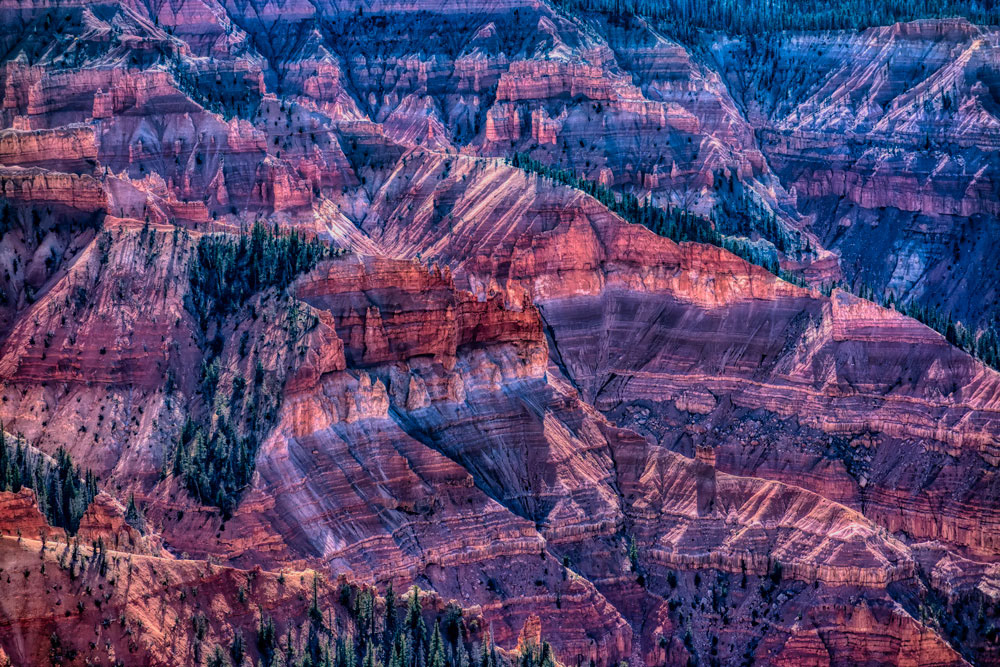 #1447 The Varied Patterns and Textures of Cedar Breaks National Monument