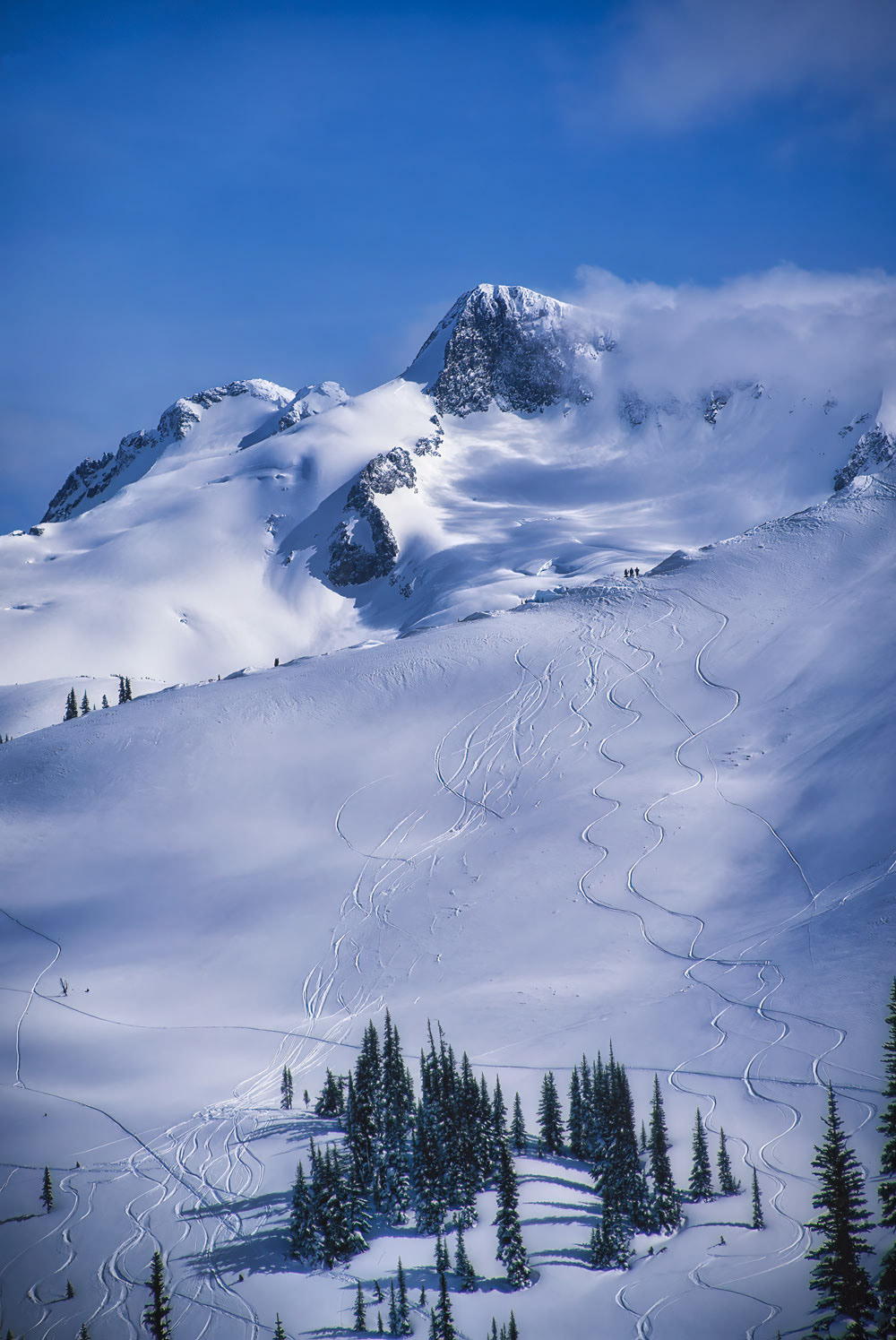 #8182 The Whistler Ski Area in British Columbia