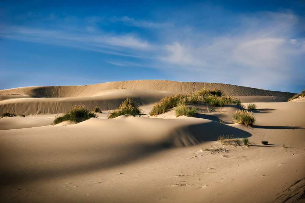 #1918 Oregon Dunes National Recreation Area