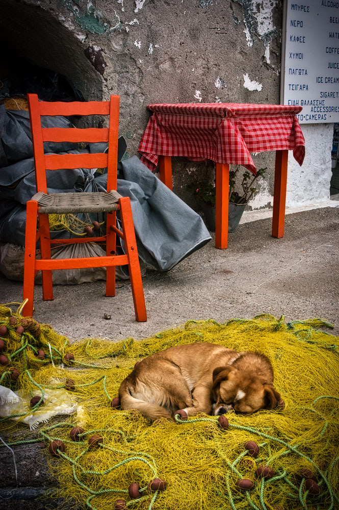 #2928 Dog Sleeping on Fish Net on the Island of Santorini