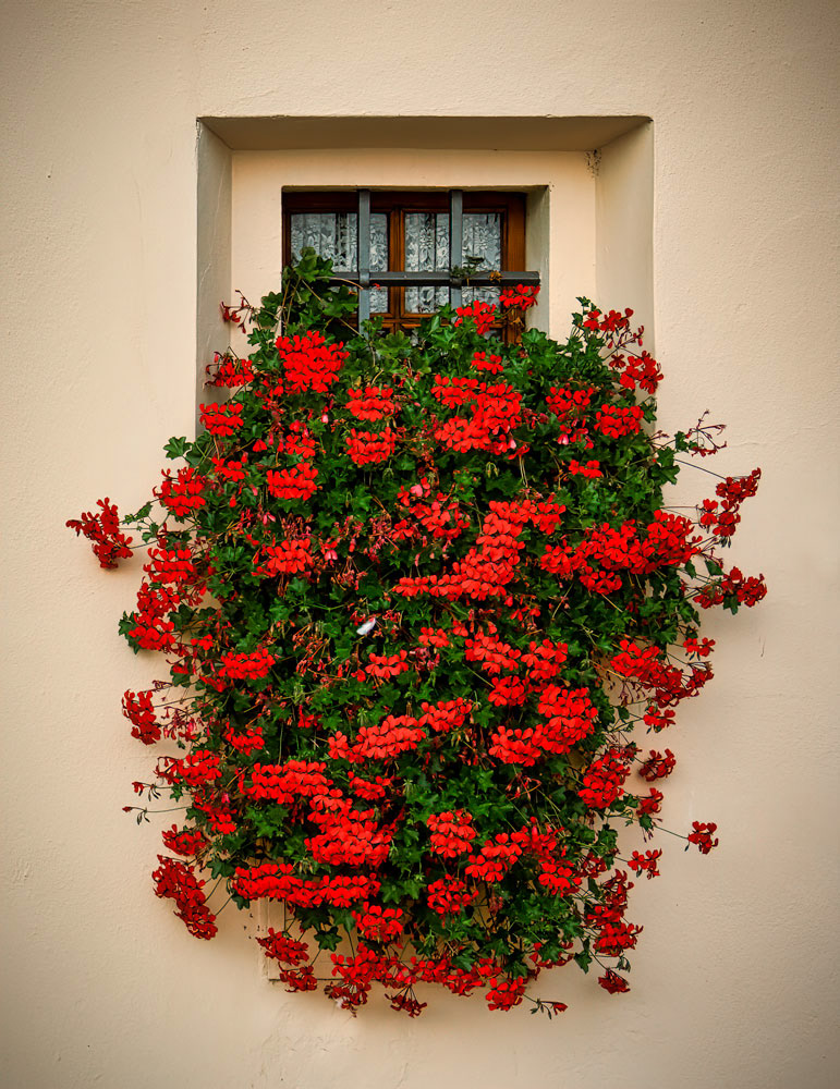 #4539 Lake Garda, Italy