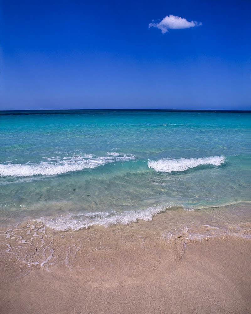 #4092 Tropical Beach