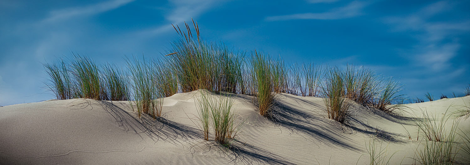 #1713 Oregon Dunes National Recreation Area