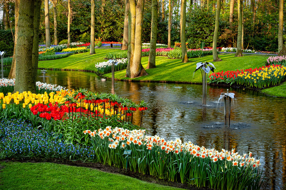 #2429 Flower Displays and Pond at Keukenhof Gardens