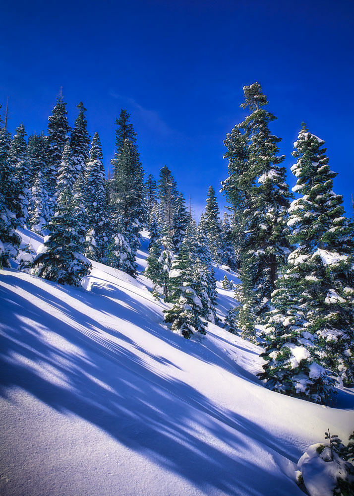#4113 Winter Landscape in the Sierras