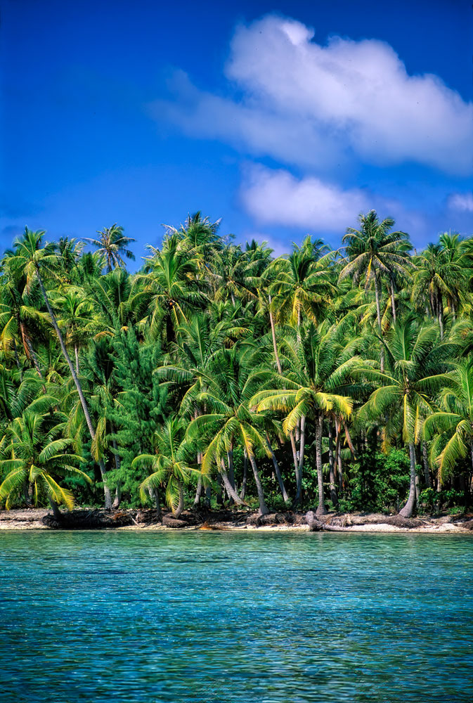 #2605 French Polynesia