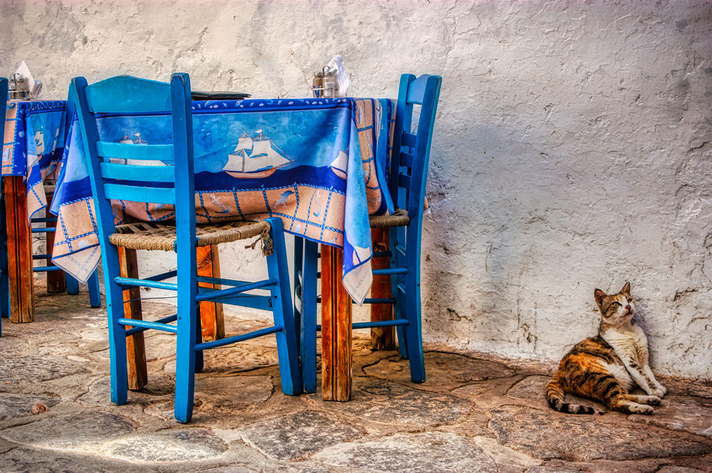 #2974 Cat Reclining Against Wall in Restaurant on the Island of Hydra