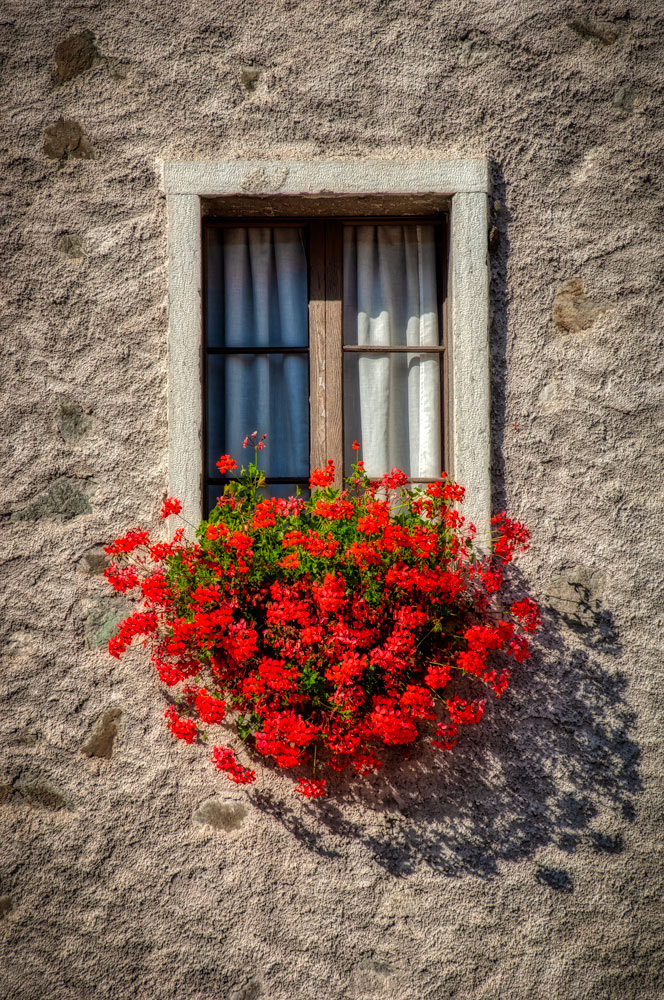 #4526 Dolomite Alps, Italy