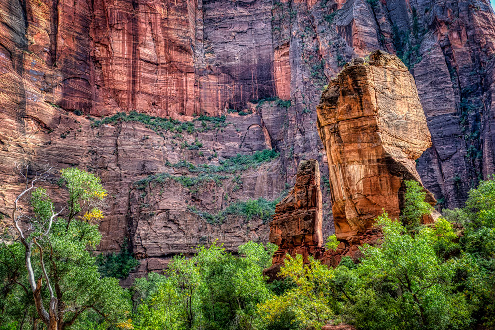#1500 Zion National Park