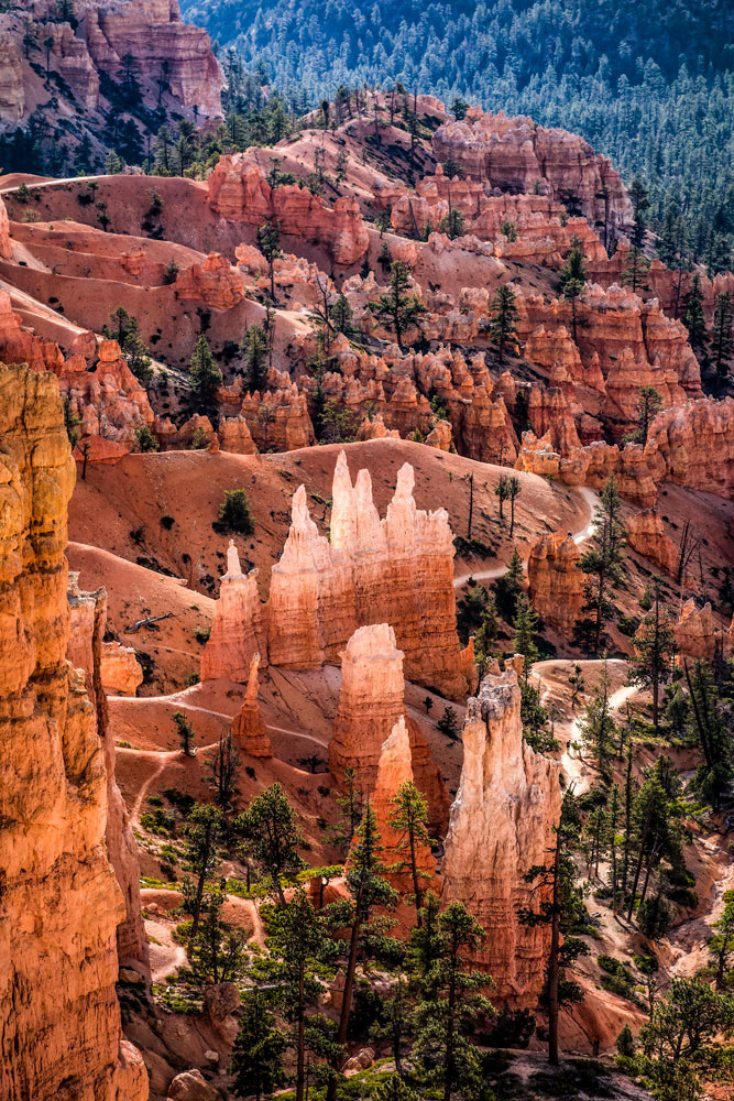 #1433 Trails in Bryce Canyon National Park