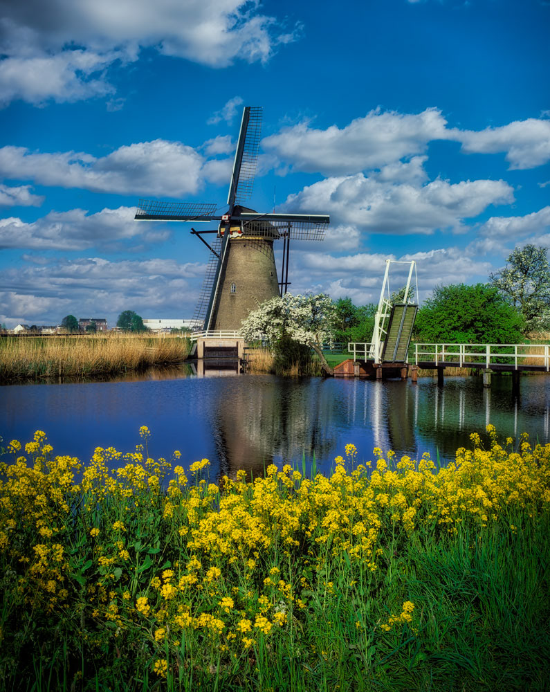 #2407 Windmill at Kinderdijk