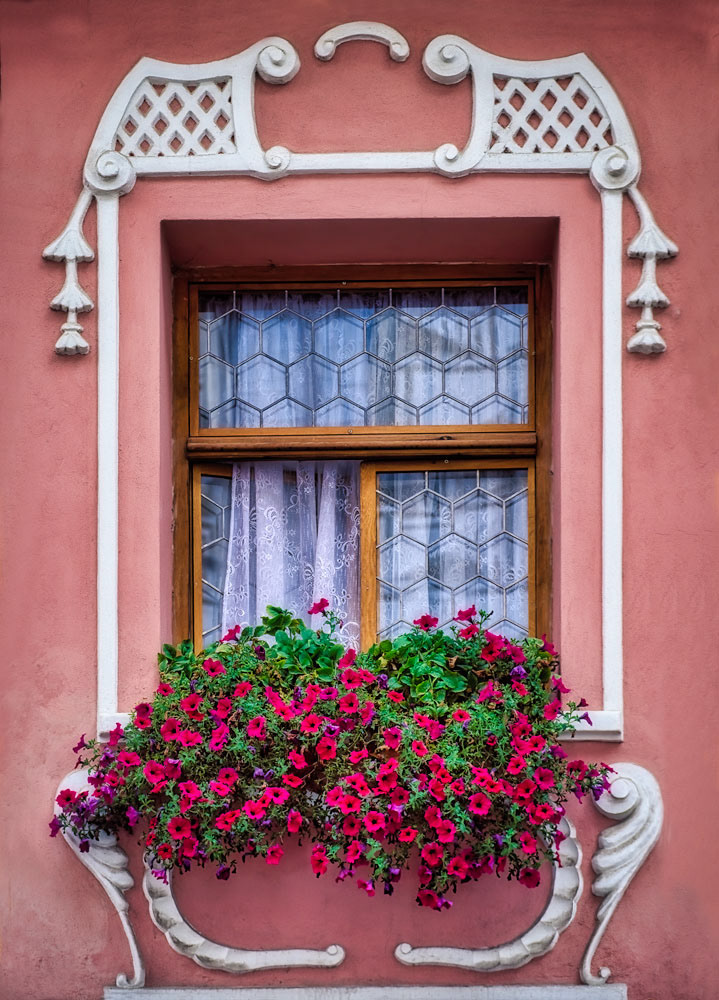 #4503 Czech Republic