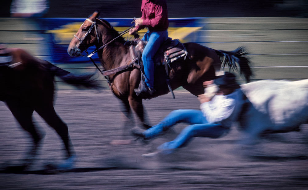 #4389 Steer Wrestling