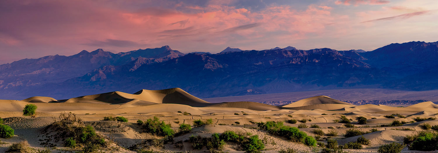 #1223 Panorama of the Mesquite Flat Sand Dunes near Stovepipe Wells in Death Valley National Park