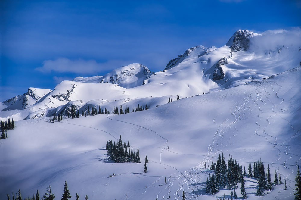 #8183 The Whistler Ski Area in British Columbia