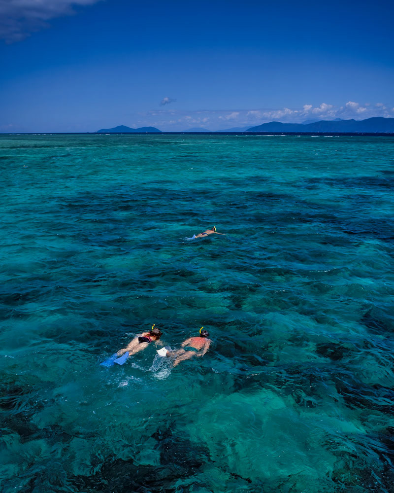 #2717 Snorkeling on the Great Barrier Reef near Cairns, Australia