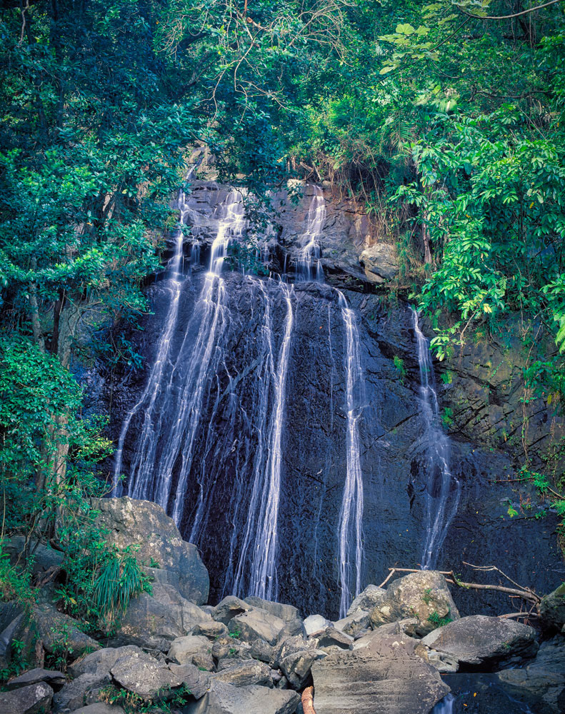 #4363 La Coca Falls in El Yunque National Forest