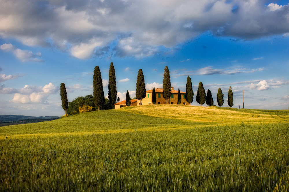 #2301 Farmhouse and Cypress Trees in the Val d'Orcia in the Tuscany Region