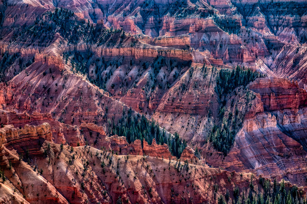 #1476 The Varied Patterns and Textures of Cedar Breaks National Monument