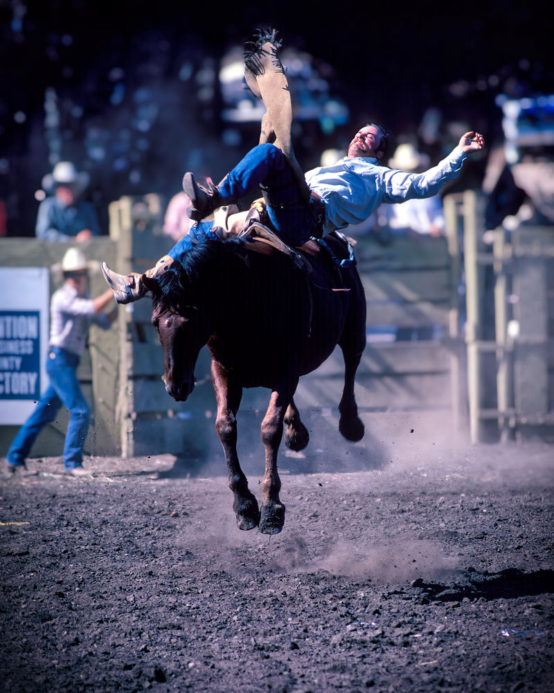 #4392 The Joy of Riding a Bucking Bronco