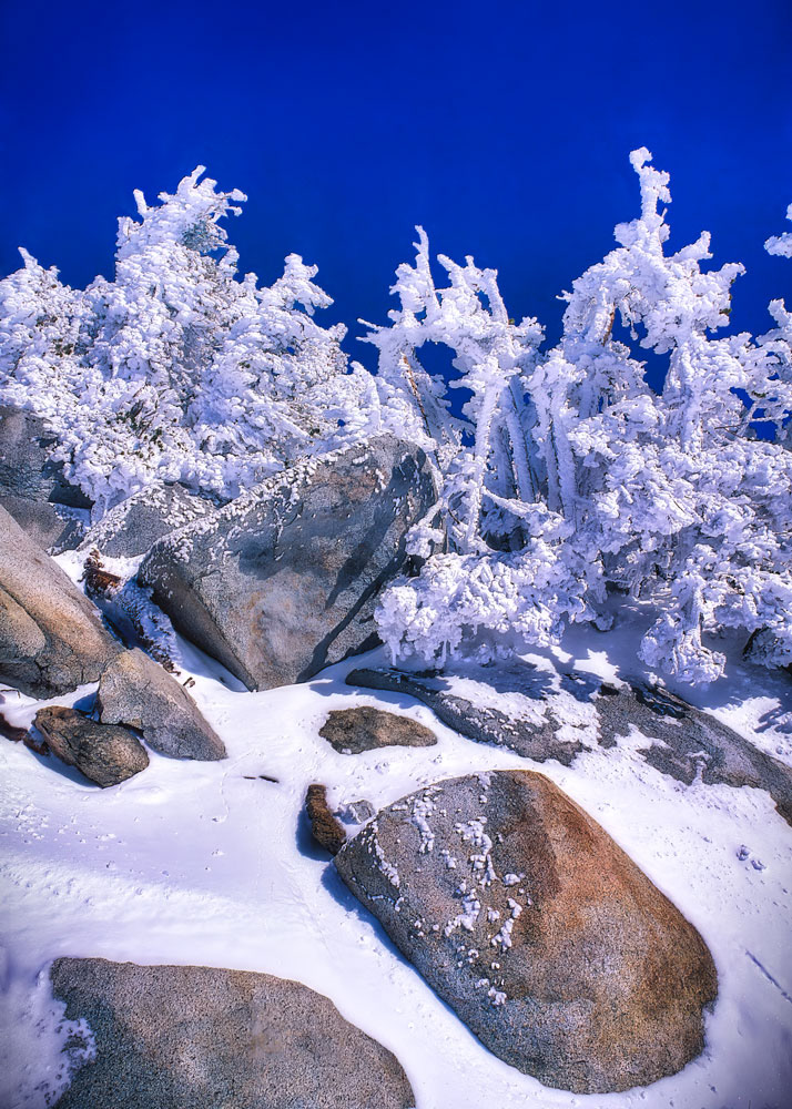 #4120 Boulders and Frozen Trees in Winter