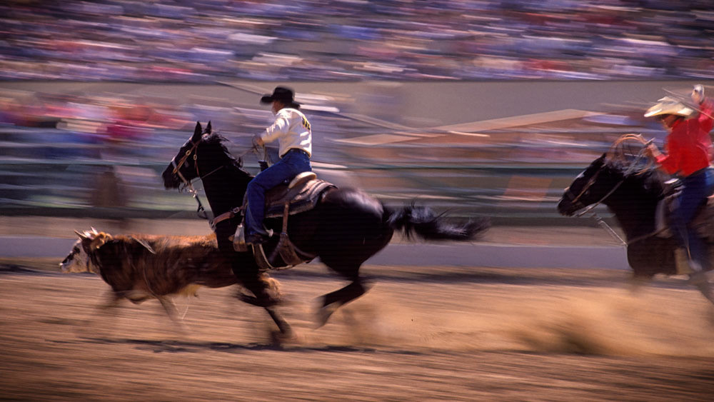 #4386 Team Calf Roping
