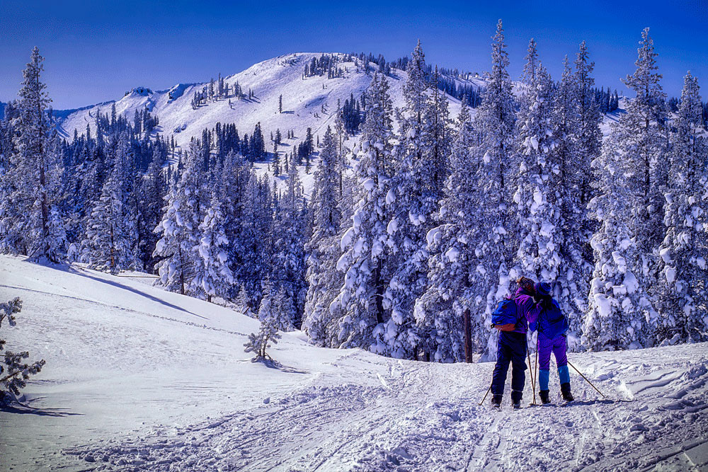#4142 Romantic Couple Pausing During Cross Country Skiing