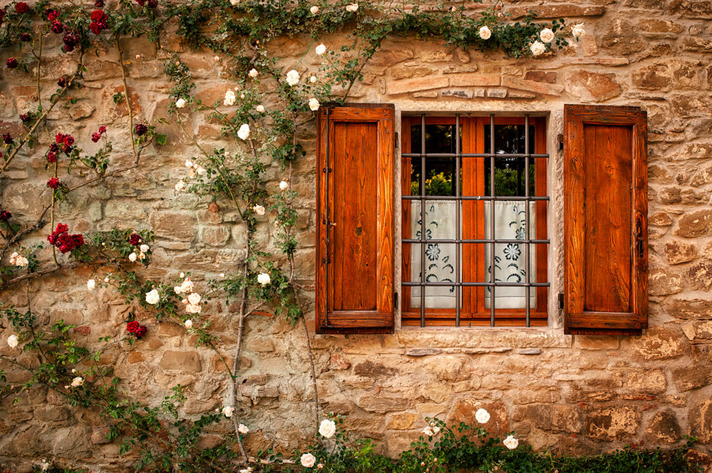 #4553 Volpaia, Italy