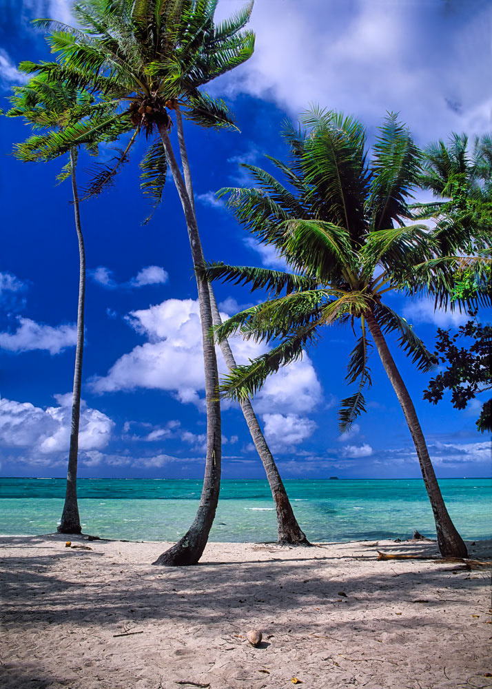 #2610 French Polynesia