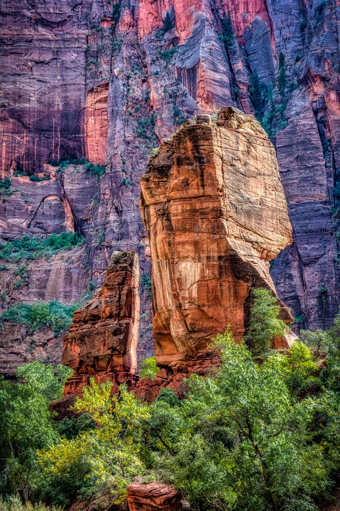 #1501 Zion National Park