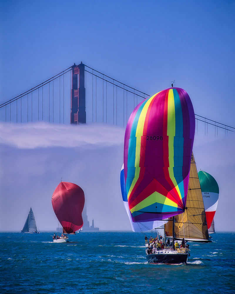 #4609 Yacht Racing, with Spinnakers up, on San Francisco Bay with the Golden Gate Bridge in the Background
