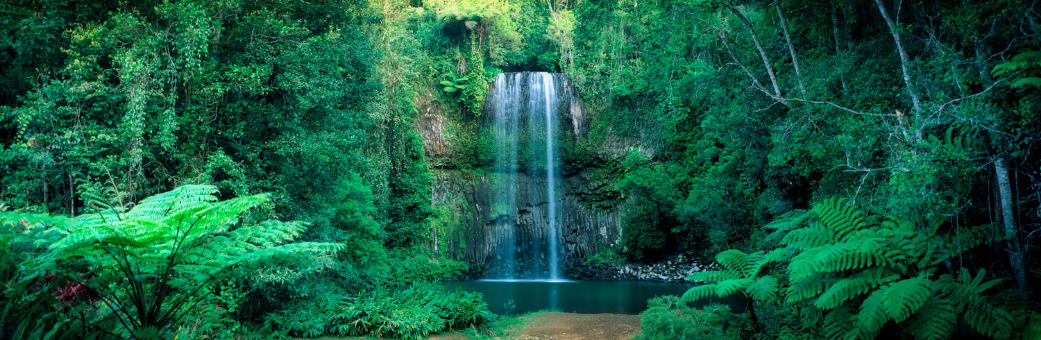 #2720 Millaa Millaa Falls in the Atherton Tablelands in Queensland, Australia