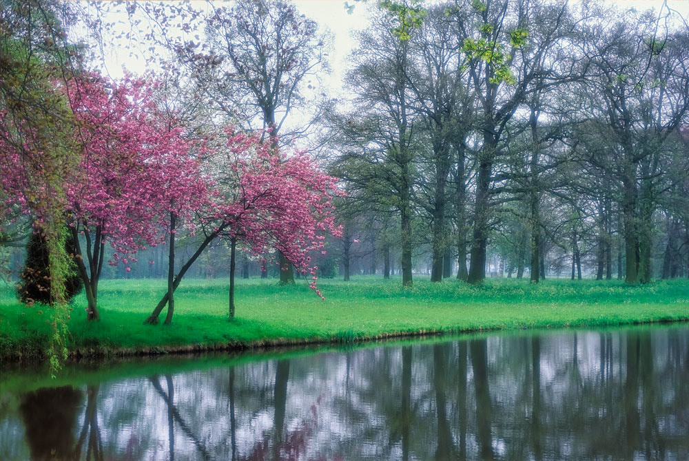 #2482 Pond and Grounds at the De Harr Castle
