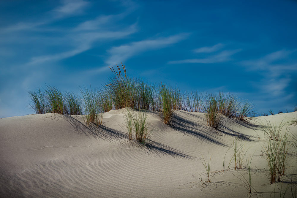 #1714 Oregon Dunes National Recreation Area