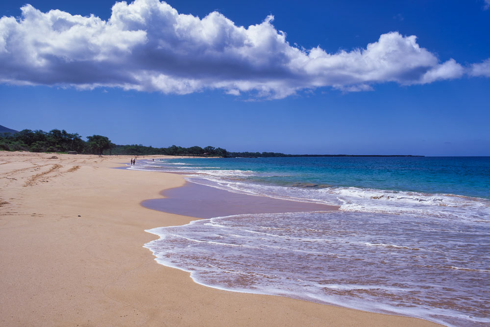 #2669 Oneloa Beach at Makena on the Island of Maui, Hawaii