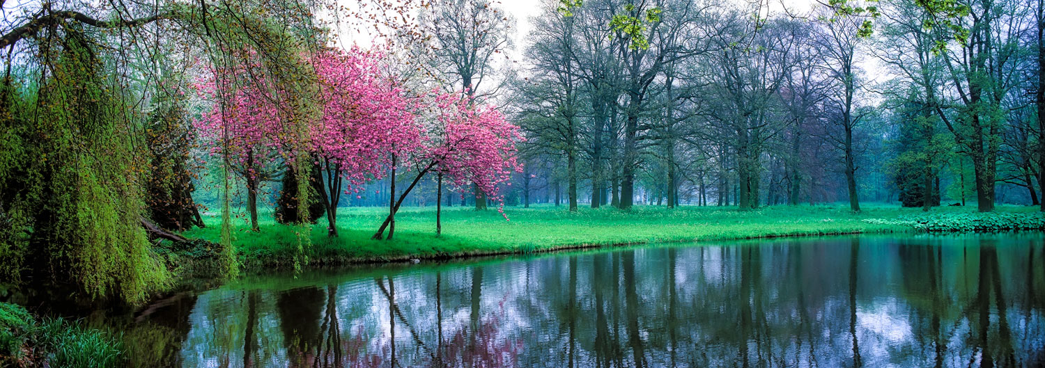 #2488 Pond and Grounds at the De Harr Castle in Holland