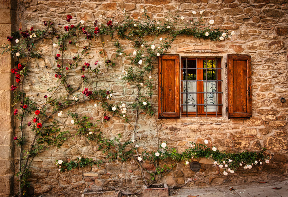 #2314 Window and Flowers at Volpaia in the Tuscany Region