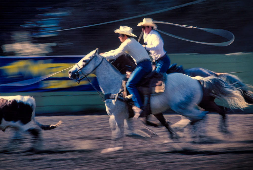 #4382 Team Calf Roping