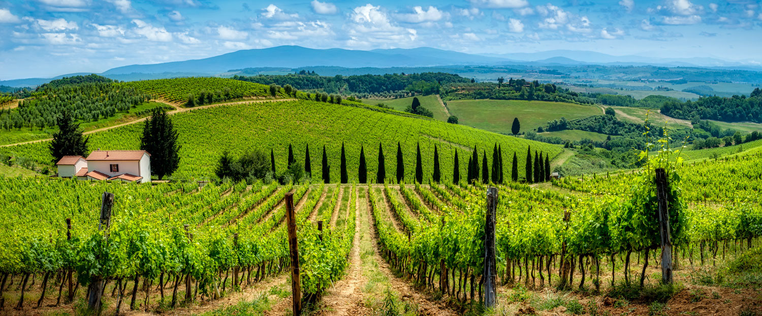 #2317 Vineyards and Farmhouse in the Tuscany Region