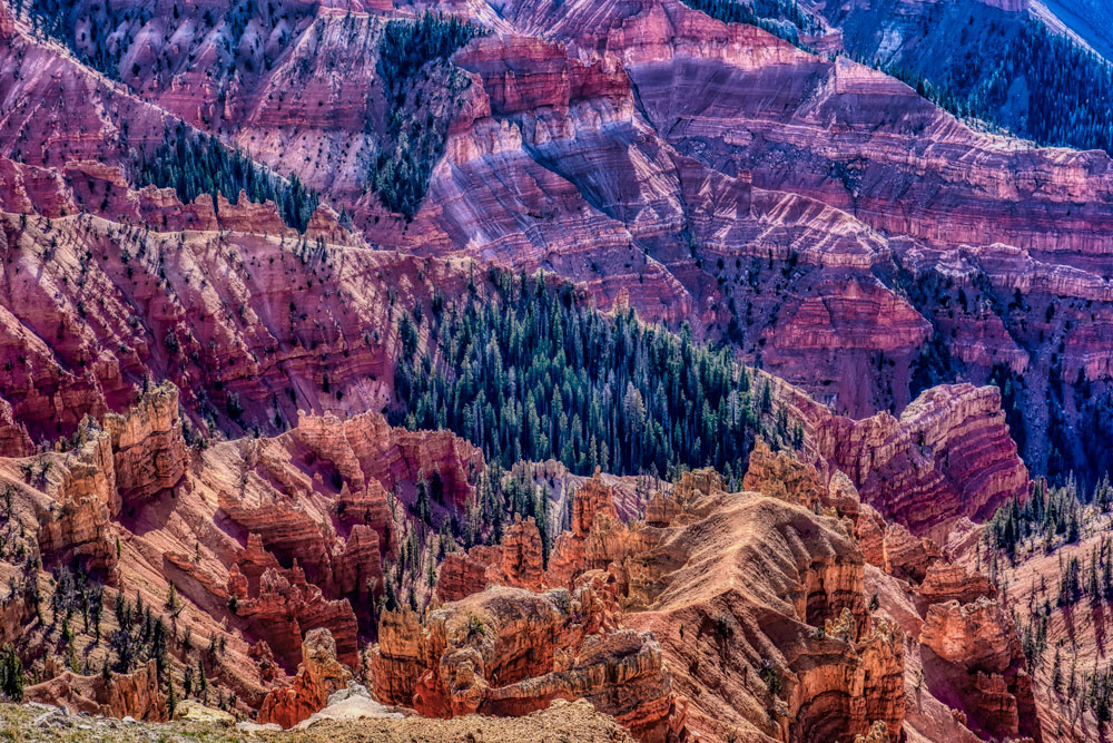 #1448 The Varied Patterns and Textures of Cedar Breaks National Monument