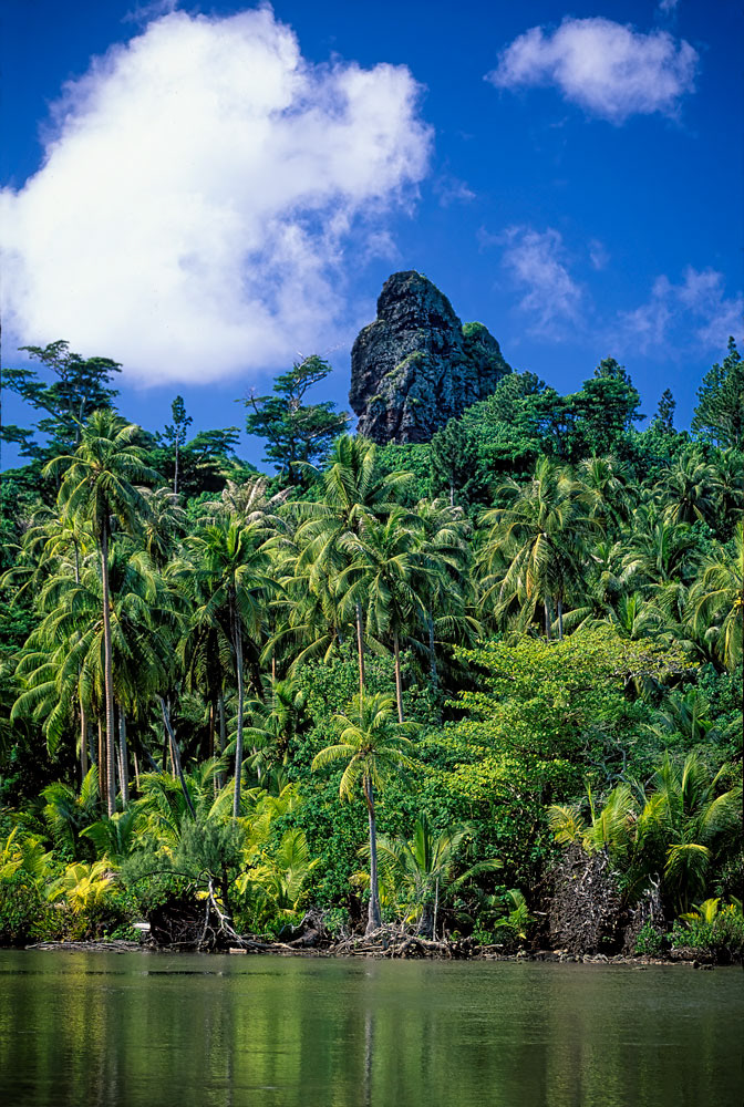 #2601 French Polynesia