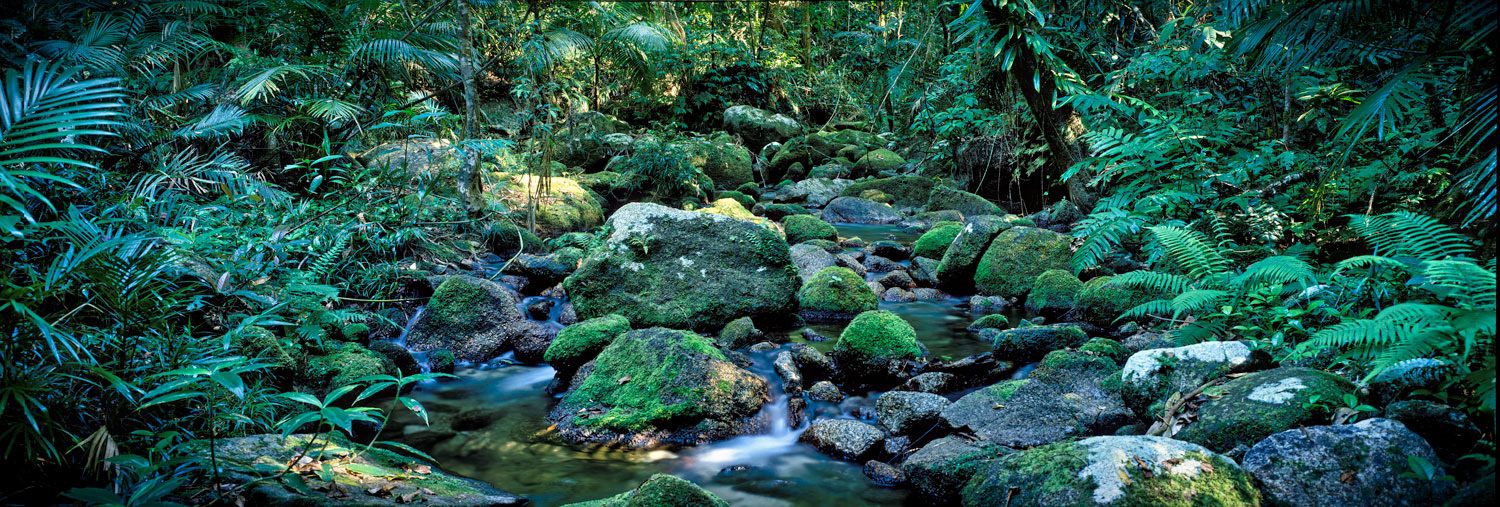 #2725 Mossman George in the Daintree Rainforest in Far North Queensland, Australia