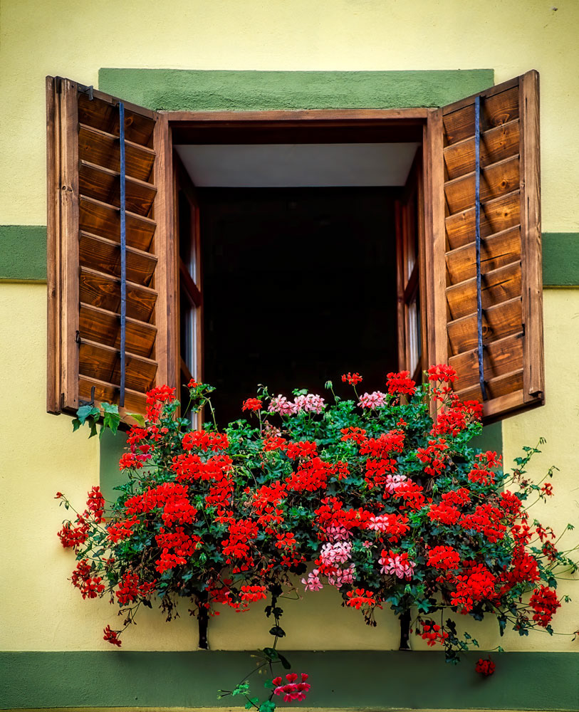 #4505 Czech Republic