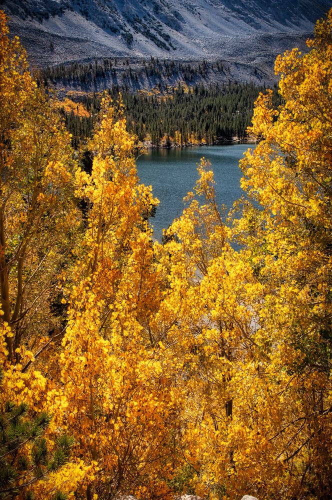 #1151 Autumn Colors and Rock Creek Lake near Bishop in the Eastern Sierras