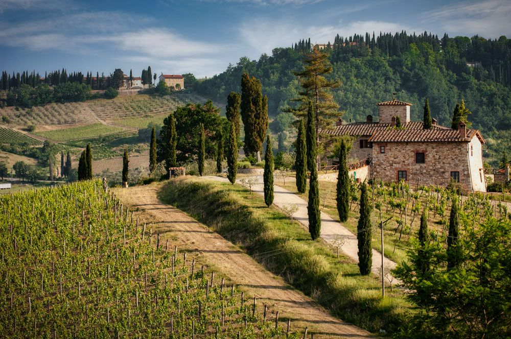 #2312 Chianti Volpaia Vineyard in the Tuscany Regopm