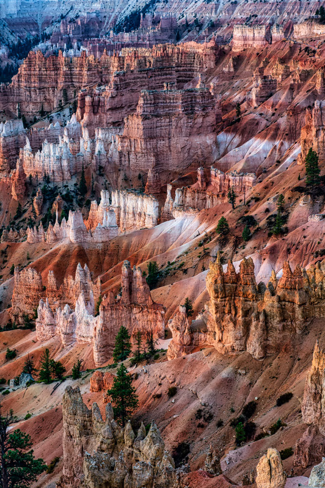 #1442 Bryce Canyon National Park