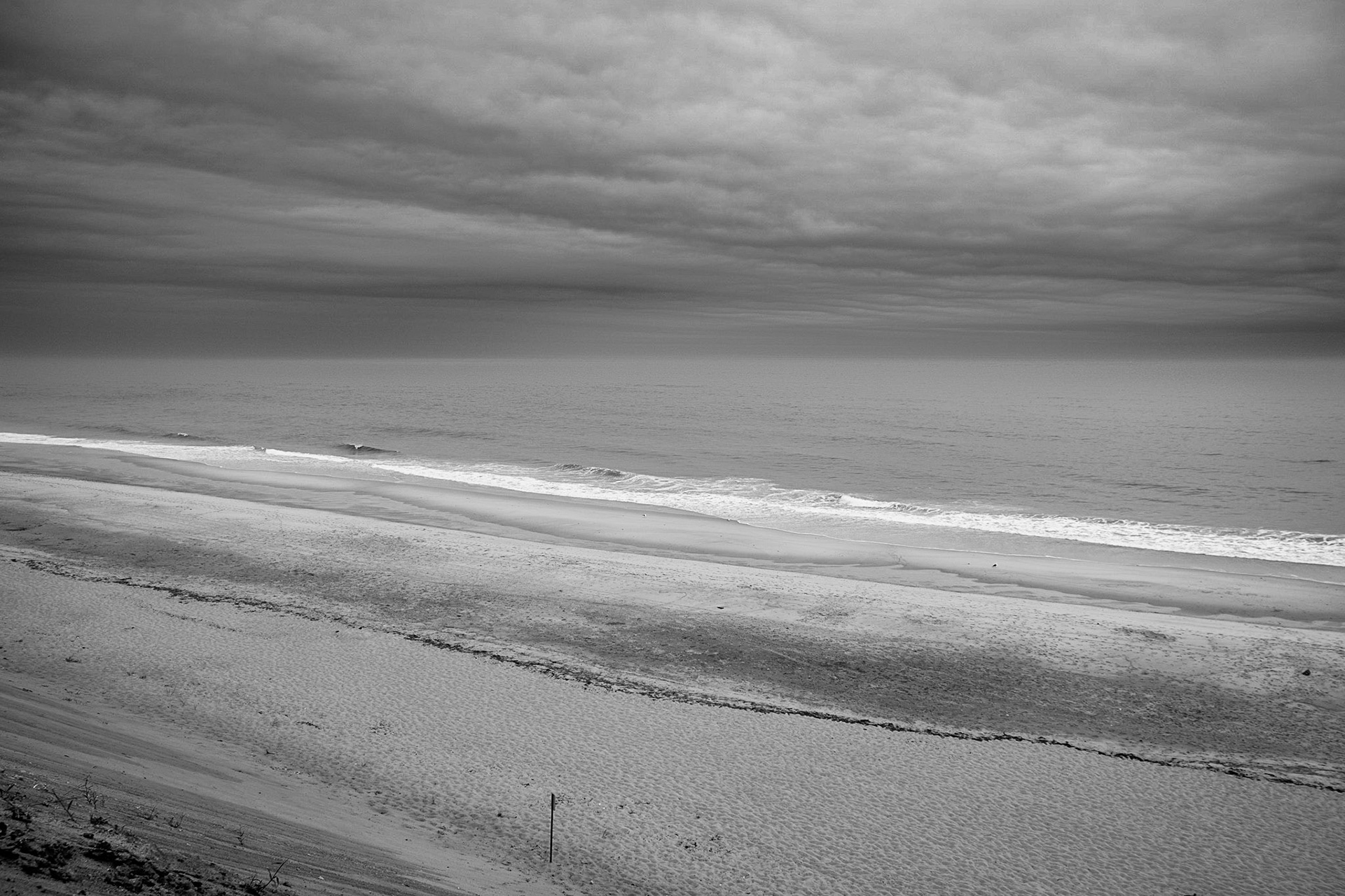 View of the beach from top of the bluff (photo by Gabe Palacio)